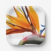 熱帯鳥のパラダイスプラント結婚フローラ ペーパープレート (正面)