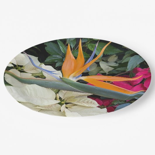 熱帯鳥のパラダイス植物とポインセチア ペーパープレート (アングル)
