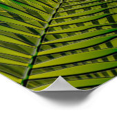 熱帯鳥のポスター ポスター (角)