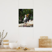 熱帯鳥の美しい写真 ポスター (キッチン)