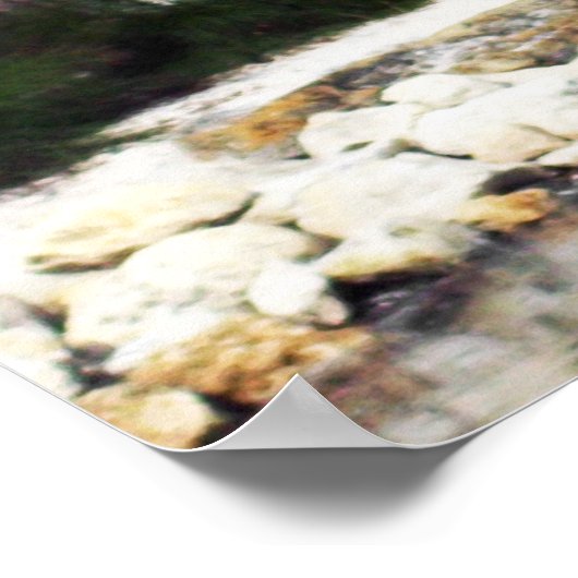 熱帯鳥の美しい写真 ポスター (角)