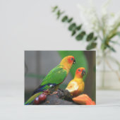 熱帯鳥はがき ポストカード (スタンド正面)