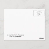 熱帯鳥はがき ポストカード (裏面)