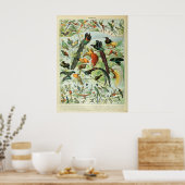 熱帯鳥アンティークプリントヴィンテージ図 ポスター (キッチン)