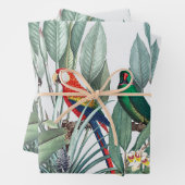 熱帯鳥風景包み紙シートセット ラッピングペーパーシート (インサイチュ)