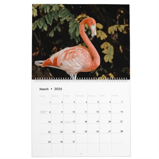 熱帯鳥 カレンダー (3月 2026)