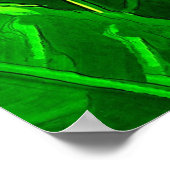 熱帯鳥 ポスター (角)