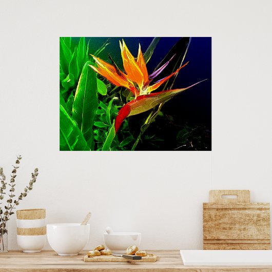 熱帯鳥 ポスター (キッチン)