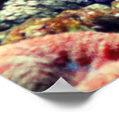 熱帯黄色ネオンフィッシュ ポスター (角)