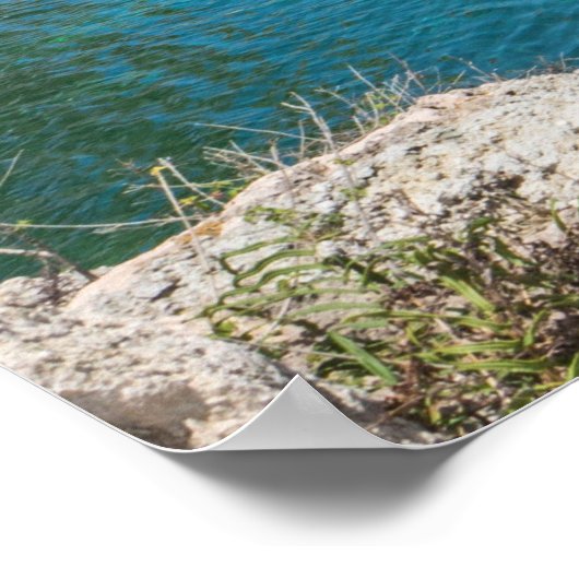 熱帯 ポスター (角)