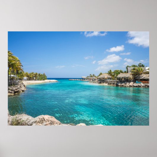 熱帯 ポスター (正面)