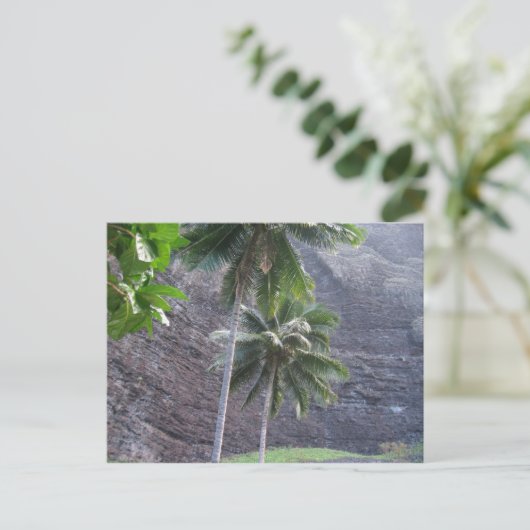 熱帯 ポストカード (スタンド正面)