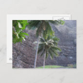 熱帯 ポストカード (正面/裏面)