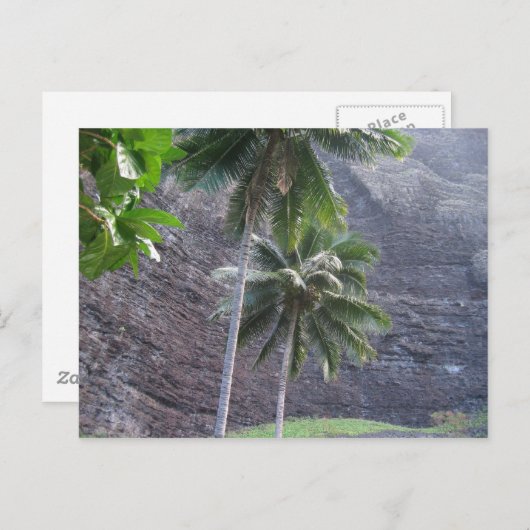 熱帯 ポストカード (正面/裏面)