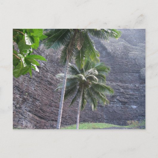 熱帯 ポストカード (正面)