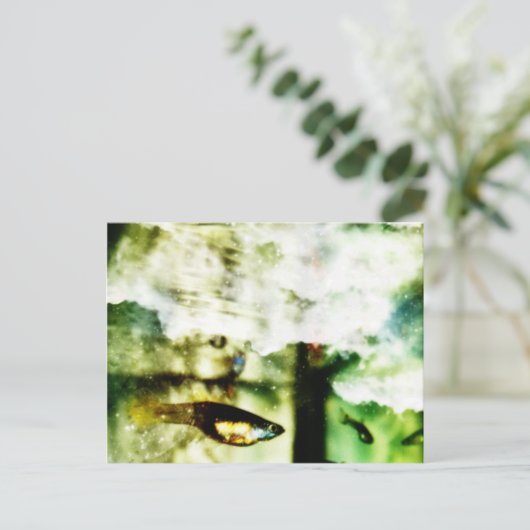 熱帯 ポストカード (スタンド正面)