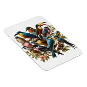 熱帯 マグネット (右側)