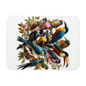 熱帯 マグネット (横)