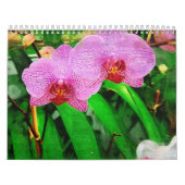 熱帯bromeliad及び蘭、フェアチャイルド熱帯g カレンダー (カバー)