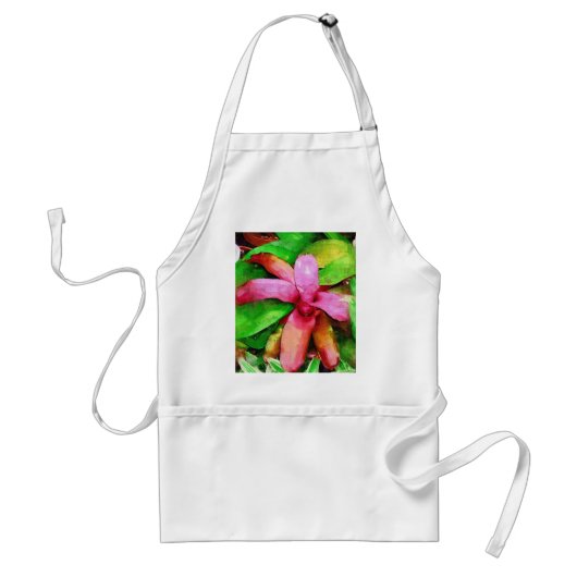 熱帯bromeliad、フェアチャイルドの熱帯庭、mia スタンダードエプロン (正面)