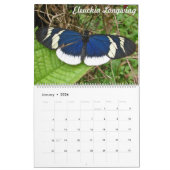 熱帯Butteflies カレンダー (1月 2026)