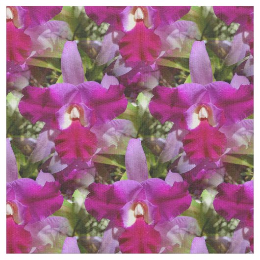 熱帯Cattleyaの蘭の花 ファブリック (クローズアップ)