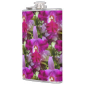 熱帯Cattleyaの蘭の花 フラスク (左)