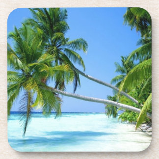 熱帯Palm Beach! コースター