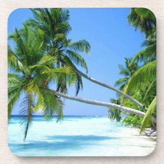 熱帯Palm Beach! コースター (正面)