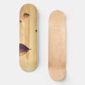 熱気の気球 スケートボード (正面)