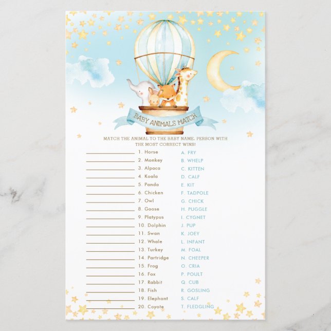 熱気球かわいい赤ちゃん動物の試合 (正面)