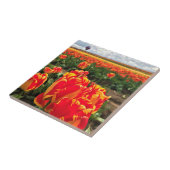 熱気球とバンジャルカチューリップ タイル (側面)