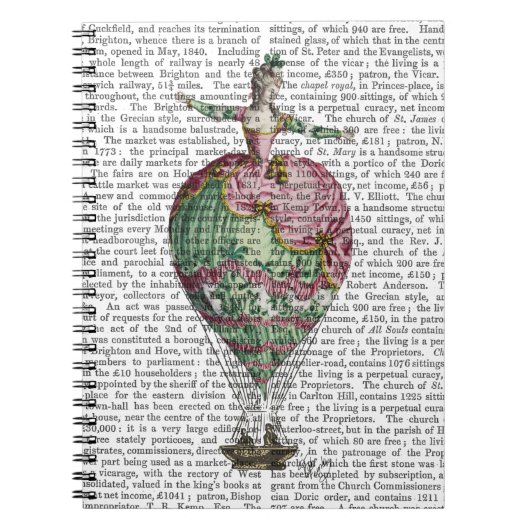 熱気球の女性2 ノートブック (正面)