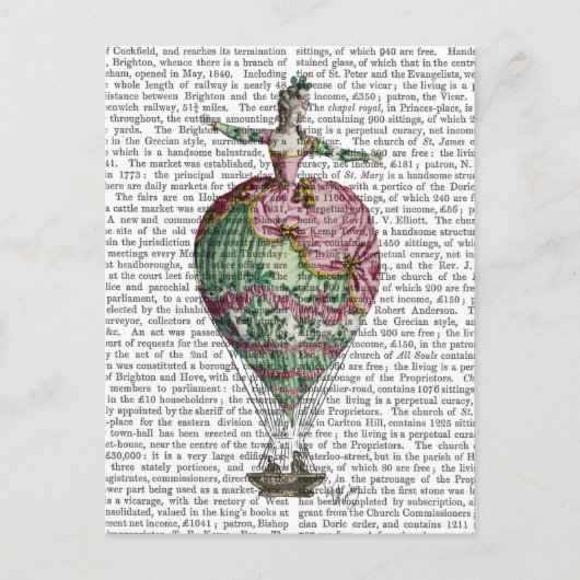 熱気球の女性2 ポストカード (正面)