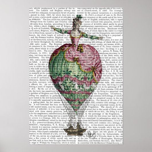 熱気球の女性 ポスター (正面)