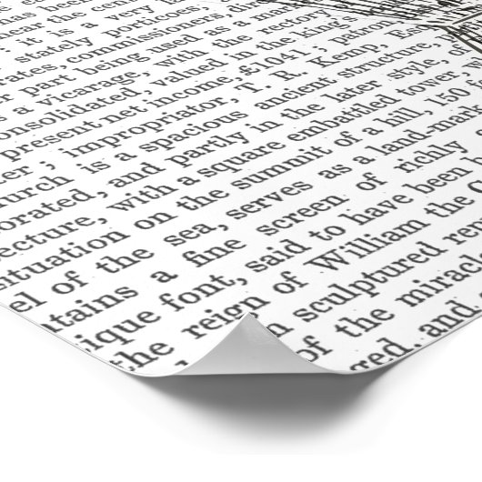 熱気球の女性 ポスター (角)