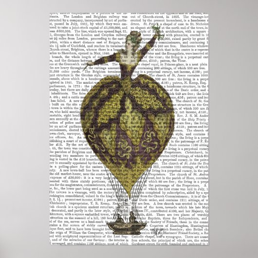 熱気球の女性 ポスター (正面)