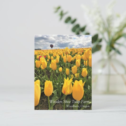 熱気球はがき付き黄色のチューリップフィールド ポストカード (スタンド正面)