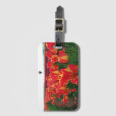 熱気球を使った野原でのバンジャルカのチューリップ ラゲッジタグ (正面縦)