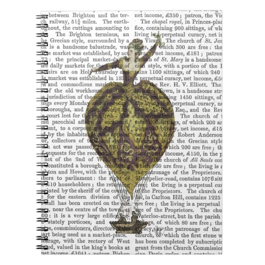 熱気球ウーマン1 ノートブック (正面)