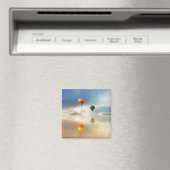 熱気球水反射 マグネット (インサイチュ (食洗機))