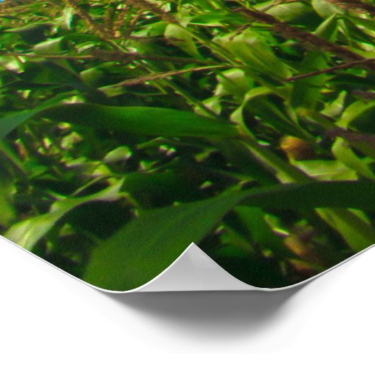 熱気球 ポスター (角)