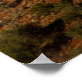 熱気球、レッドロック、ココナノ全国 ポスター (角)