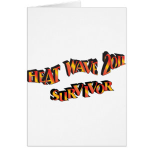 熱波サバイバー2011バッグ