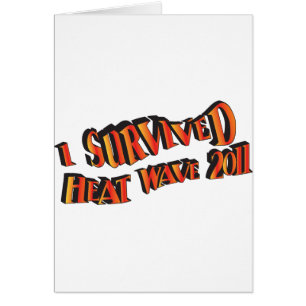 熱波サバイバー2011バッグ