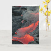 熱溶岩 カード (黄色い花)