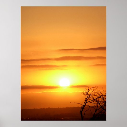 熱烈な太陽 ポスター (正面)