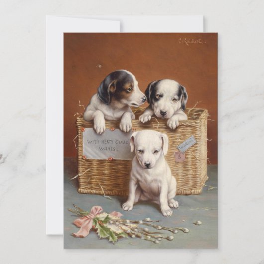 熱烈な希望を抱いて | カール・ライチェルト (正面)