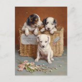 熱烈な希望を抱いて | カール・ライチェルト ポストカード (正面)