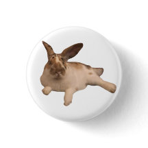 熱烈な水田バッジ